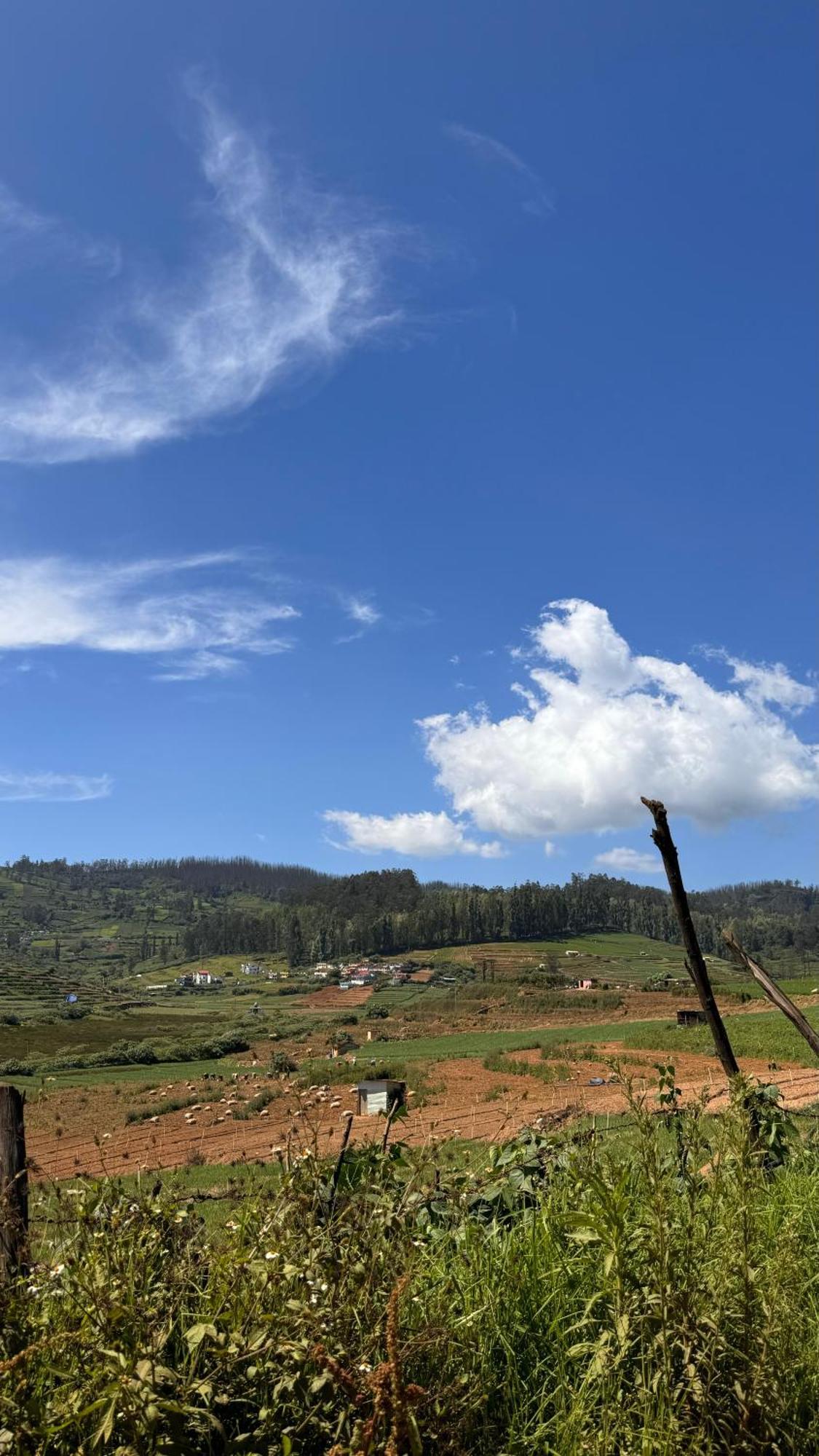 The Wooden Springs Bed & Breakfast Ooty Exterior photo